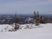 /album/lindvallen/im000476-jpg/