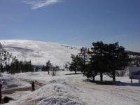 /album/lindvallen/im000513-jpg/