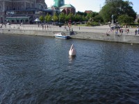 /album/stockholmstad/im002249-jpg/
