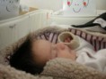 /album/tindra/pict0940-jpg/